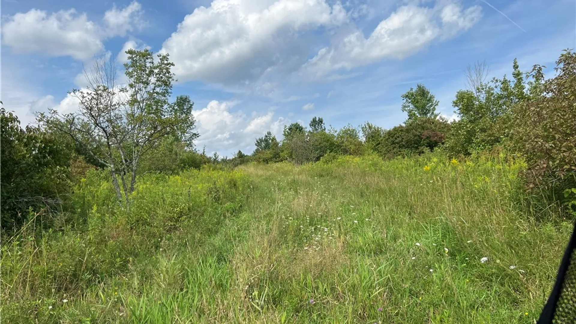 Property at Mead Road, Busti, NY 14750 33