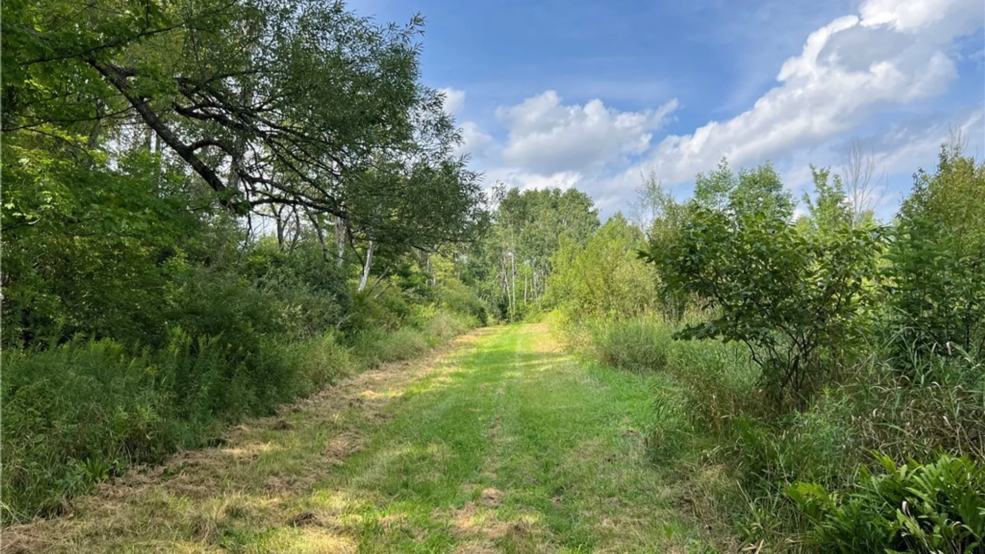 Property at Mead Road, Busti, NY 14750 36