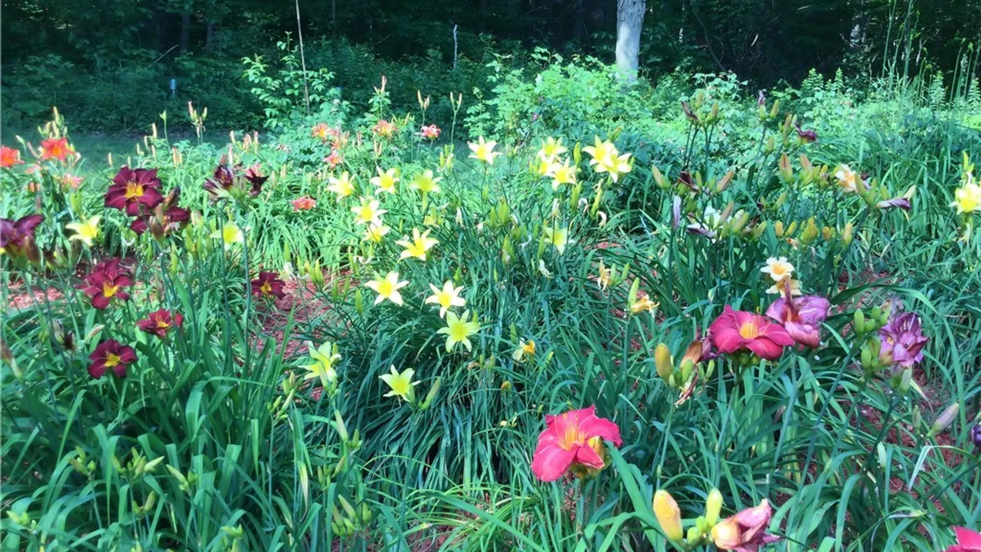 Property at 6667 Hunters Creek Road, Wales, NY 14139 33