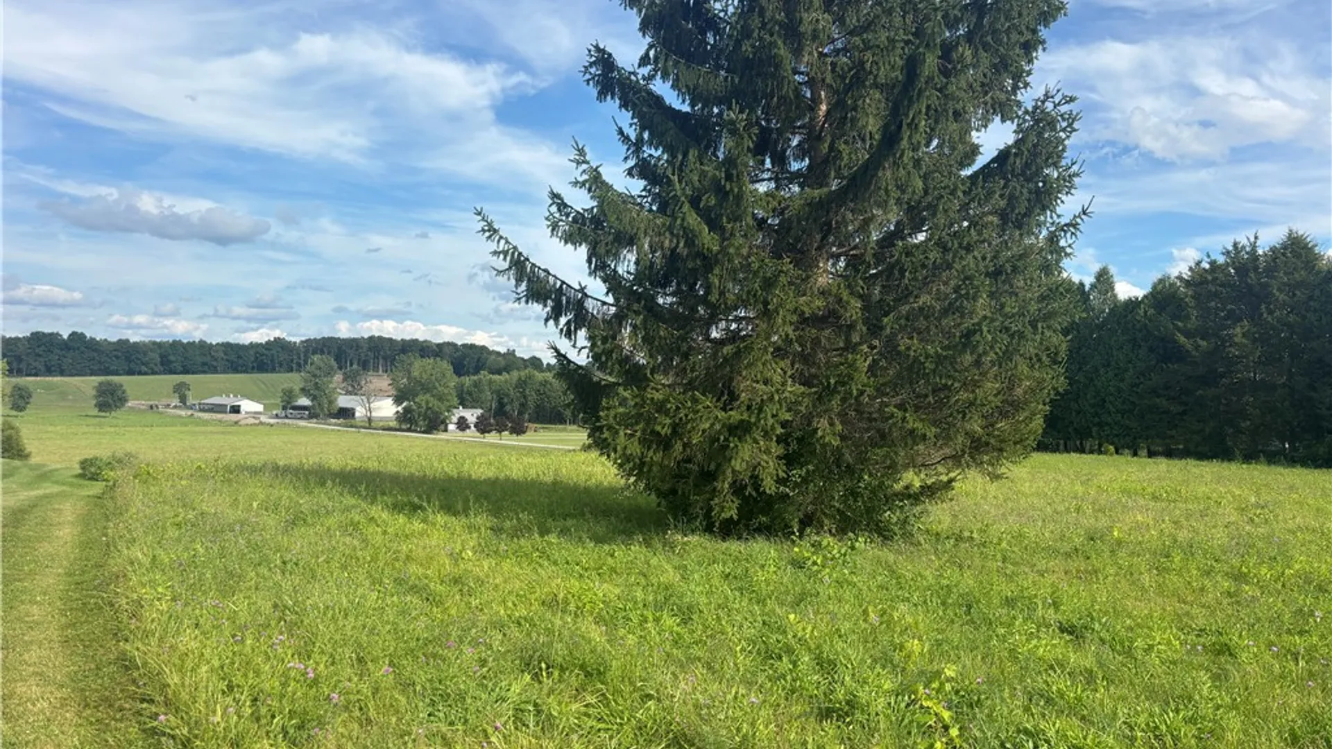 Property at 6458 Town Hall Road, Sennett, NY 13021 18