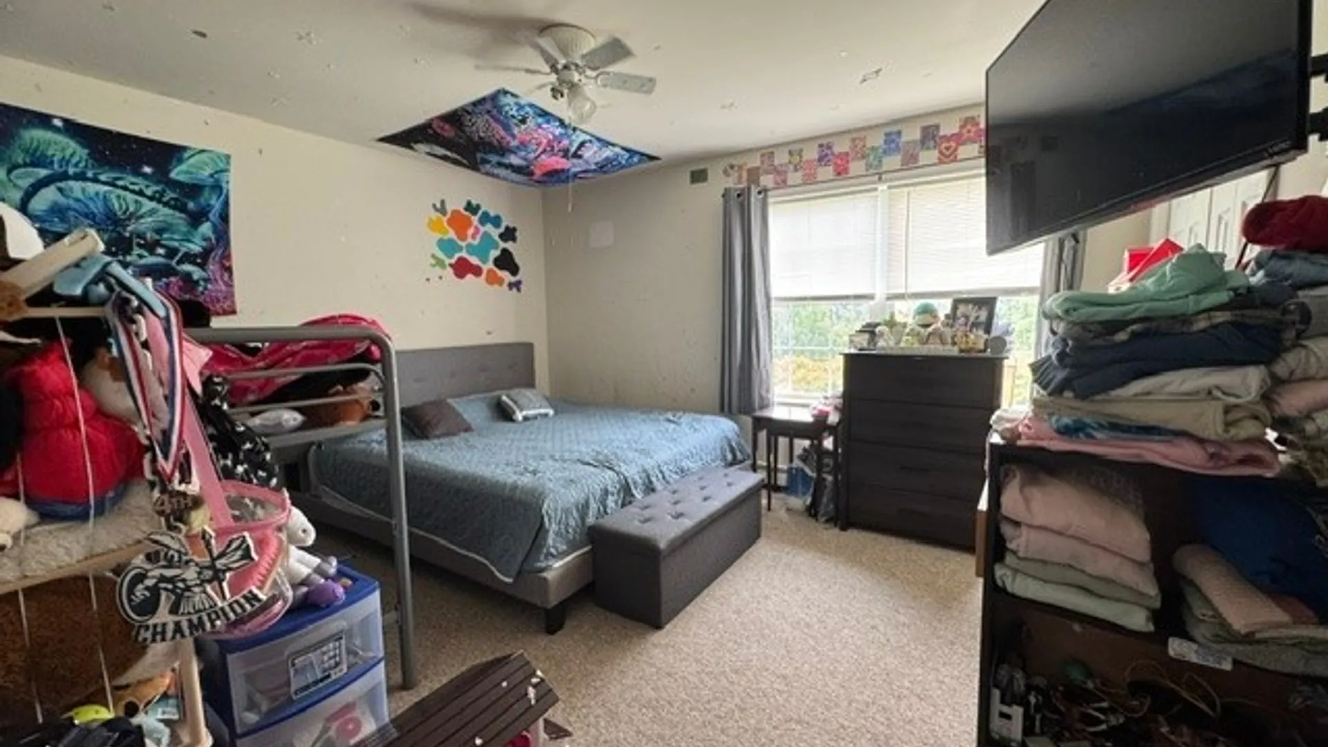 Property at 707 Ridge Road, Lansing, NY 14882 4