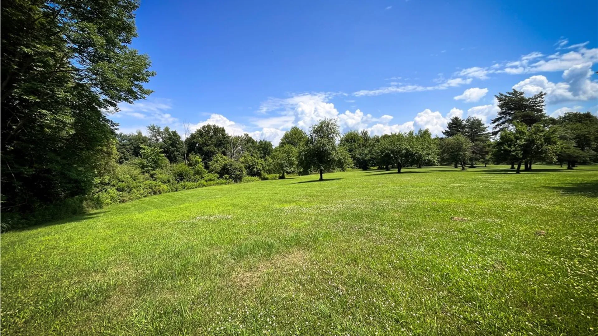 Property at 9008 State Route 3, Sandy Creek, NY 13145 10