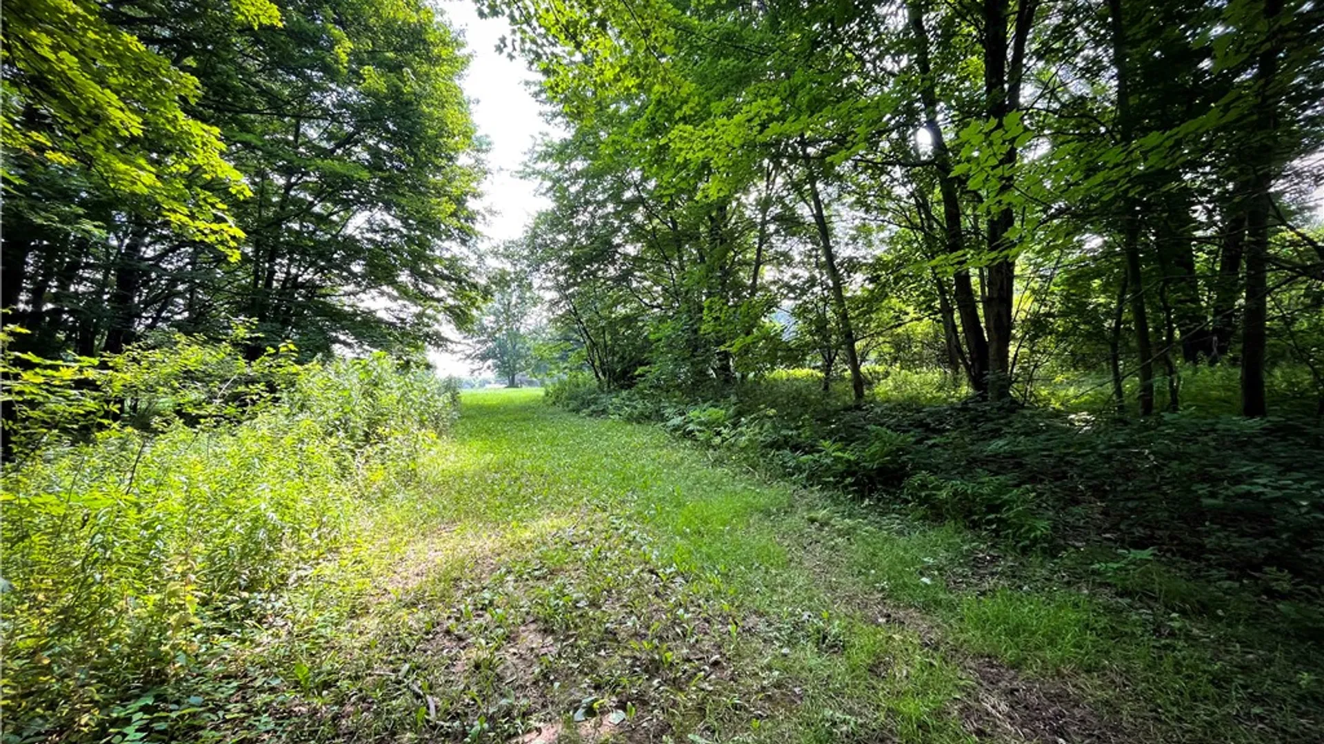 Property at 9008 State Route 3, Sandy Creek, NY 13145 17