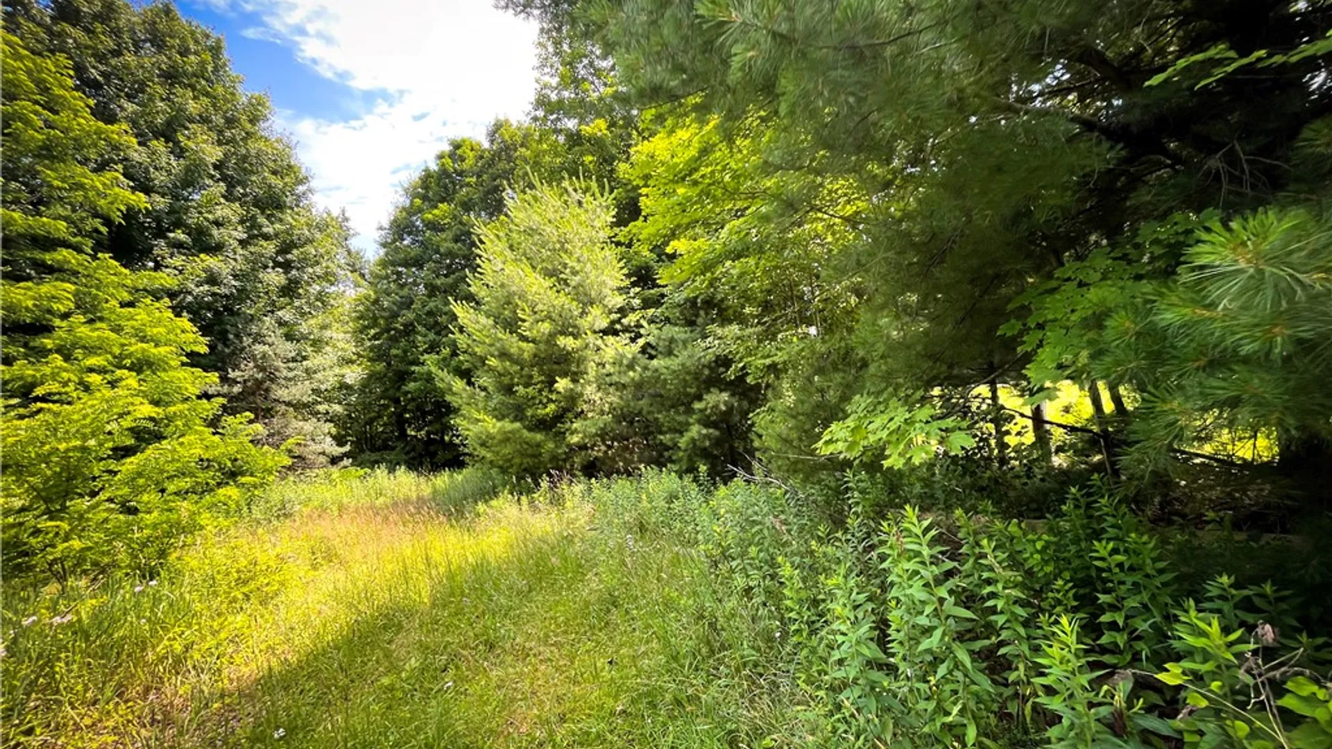 Property at 9008 State Route 3, Sandy Creek, NY 13145 22