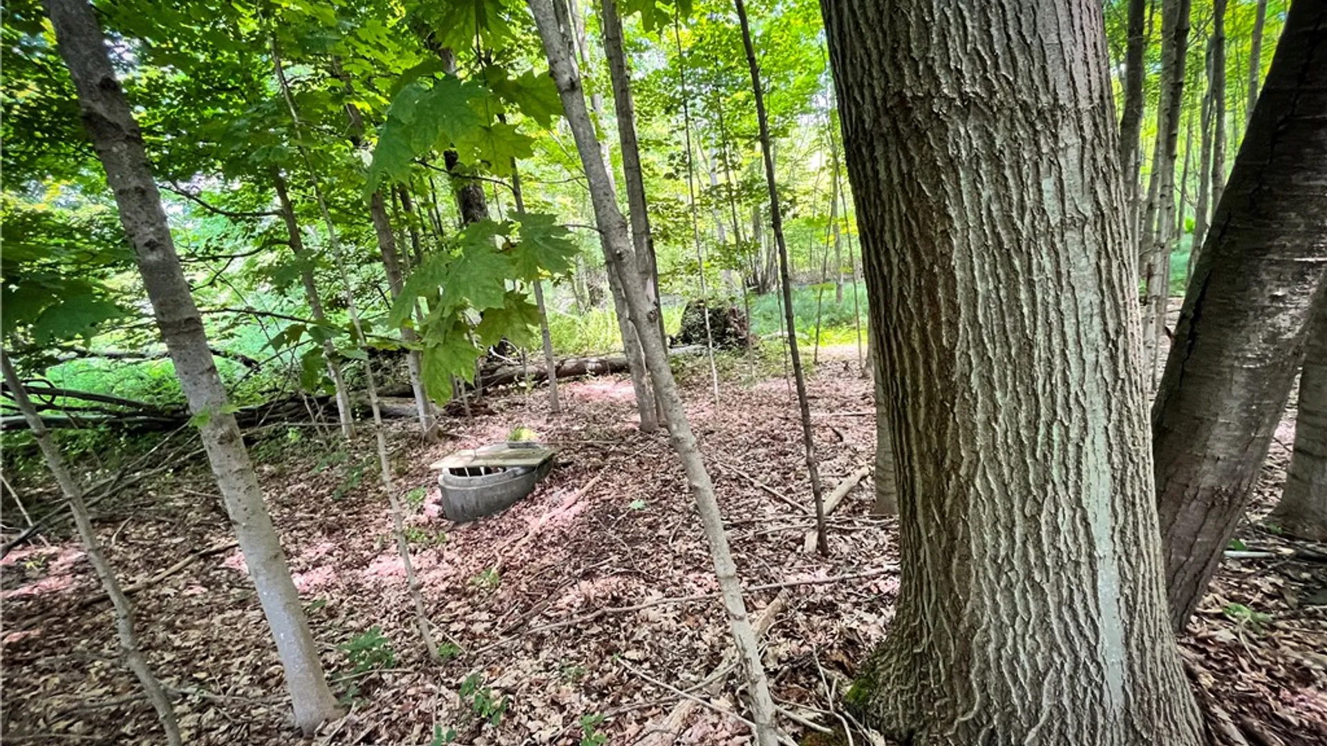 Property at 9008 State Route 3, Sandy Creek, NY 13145 39