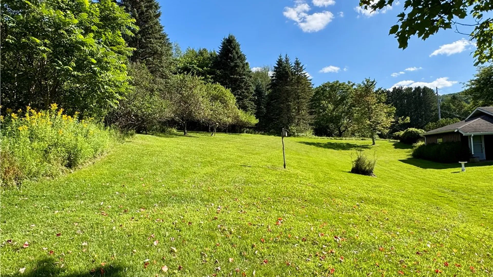 Property at 988 Swart Hollow Road, Oneonta, NY 13820 10