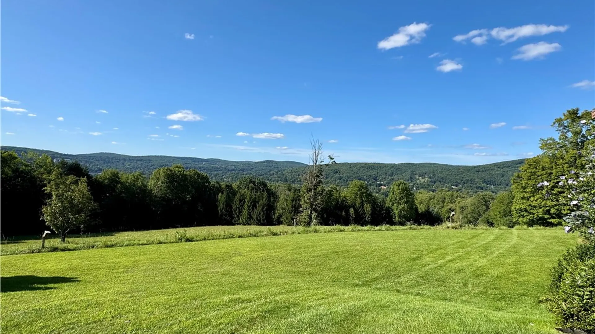 Property at 988 Swart Hollow Road, Oneonta, NY 13820 44