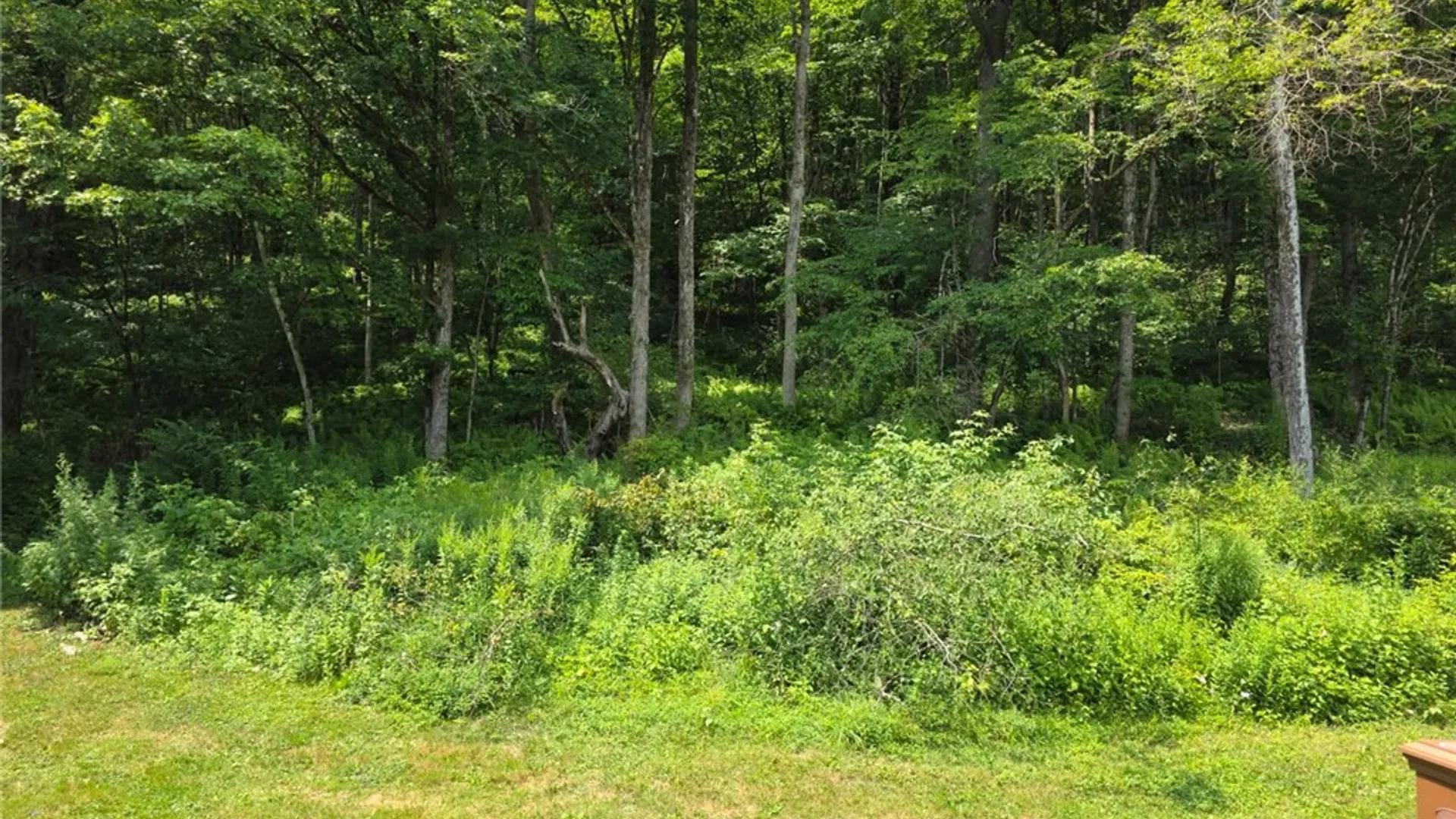 Property at 75 Clark Road, Sanford, NY 13754 17