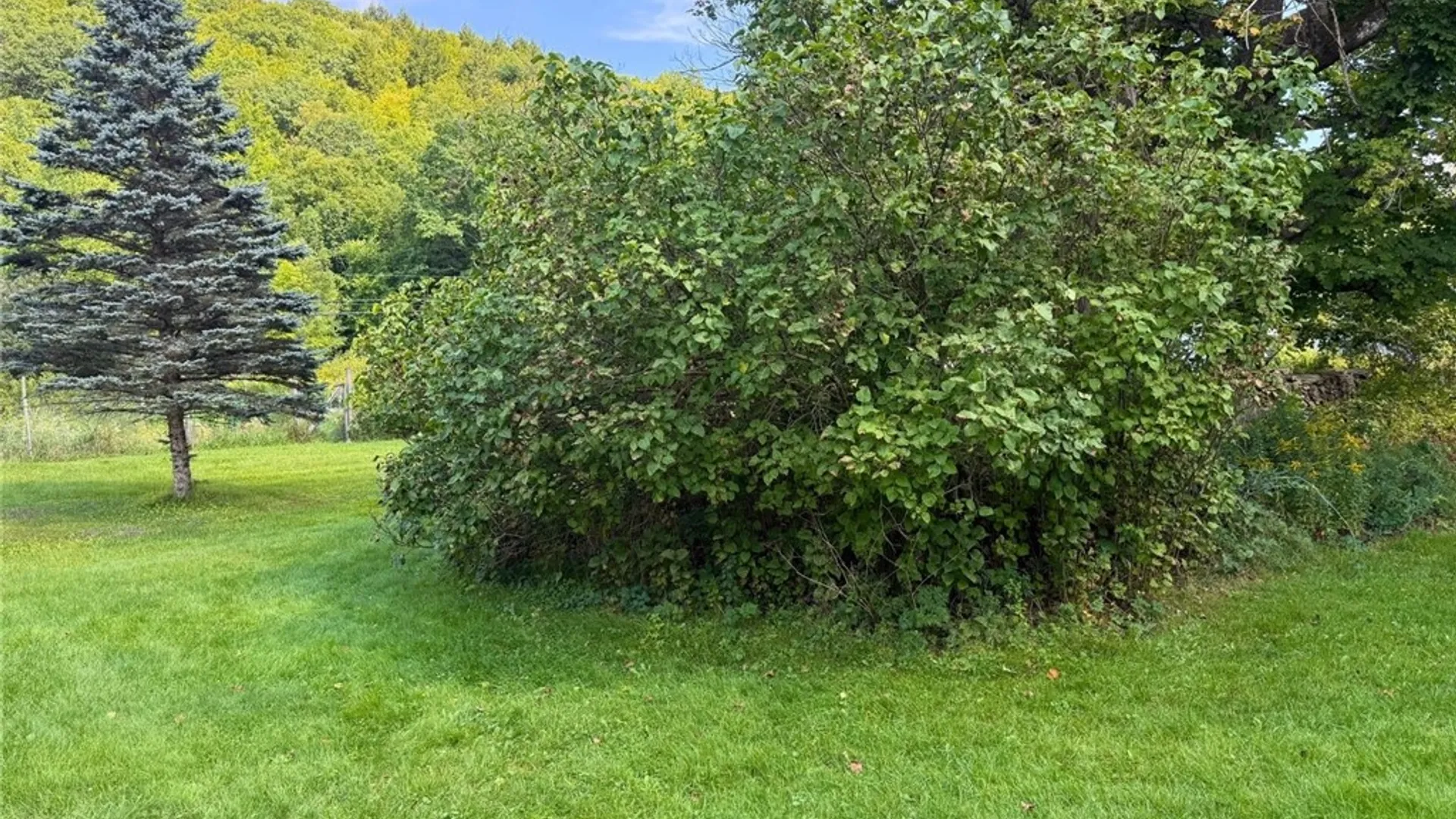 Property at 751 County Route 3, Middletown, NY 12455 5