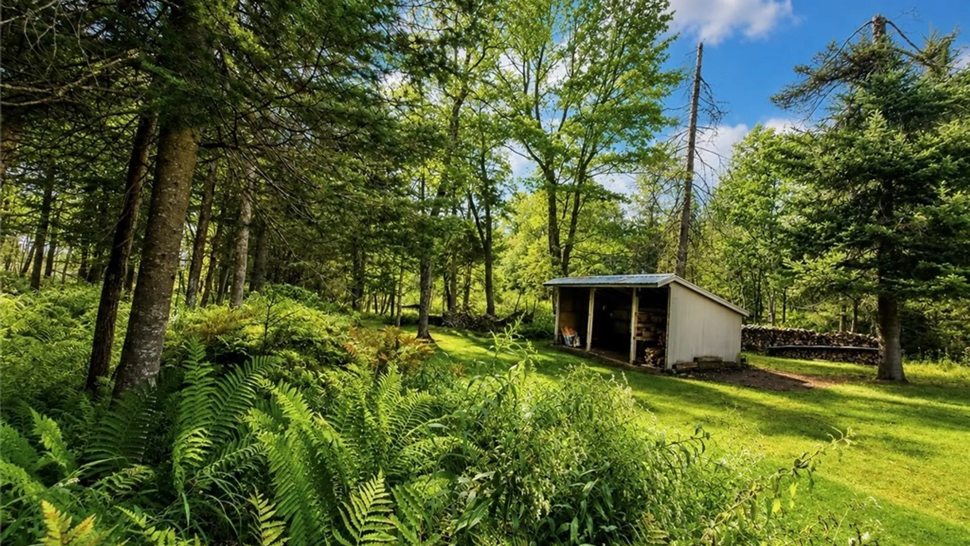 Property at 163 Hemlock Road, Forestport, NY 13338 43