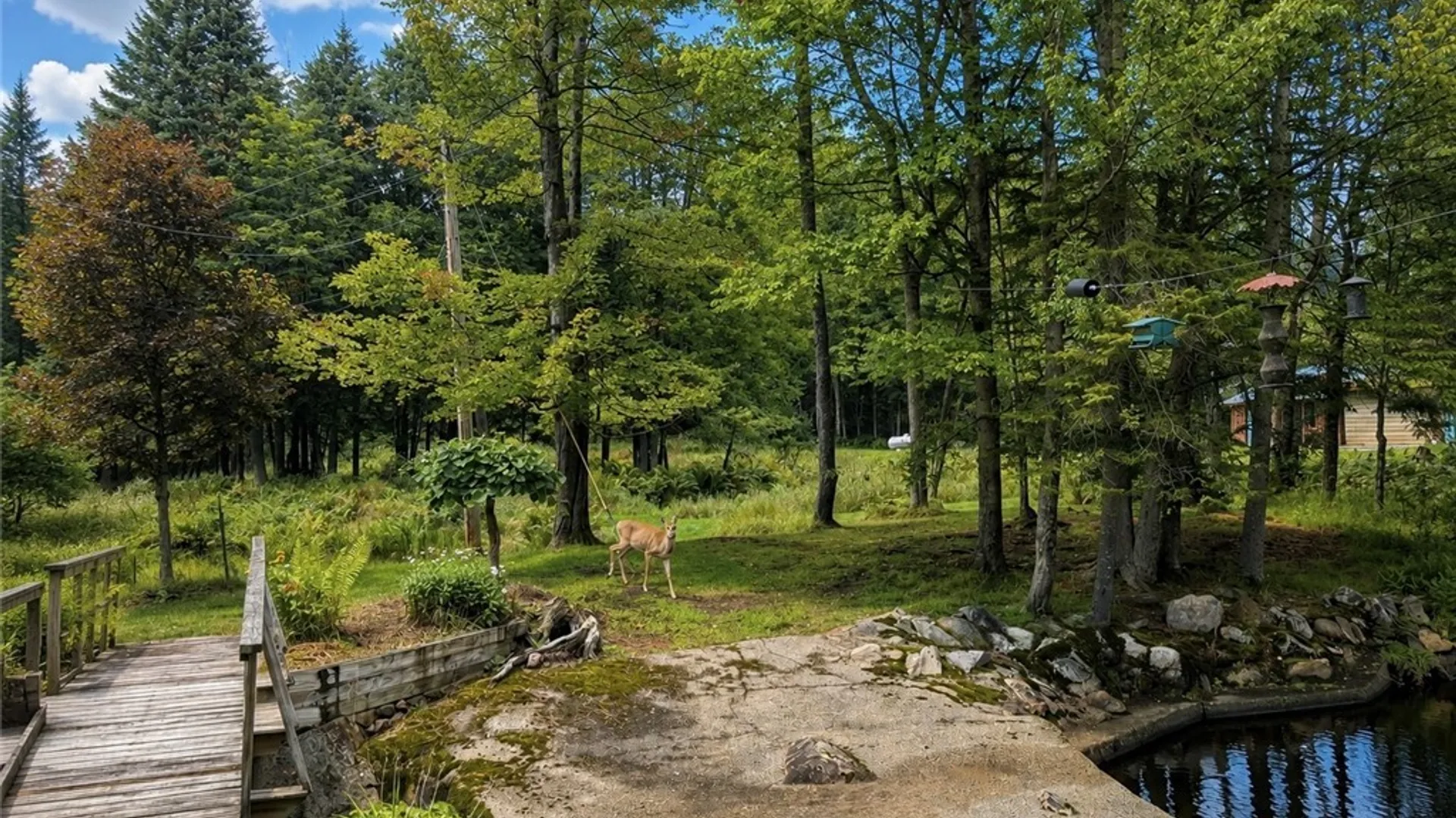 Property at 163 Hemlock Road, Forestport, NY 13338 39