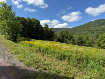 Property at 0 Lower Meeker Hollow Rd, Roxbury, NY 12474