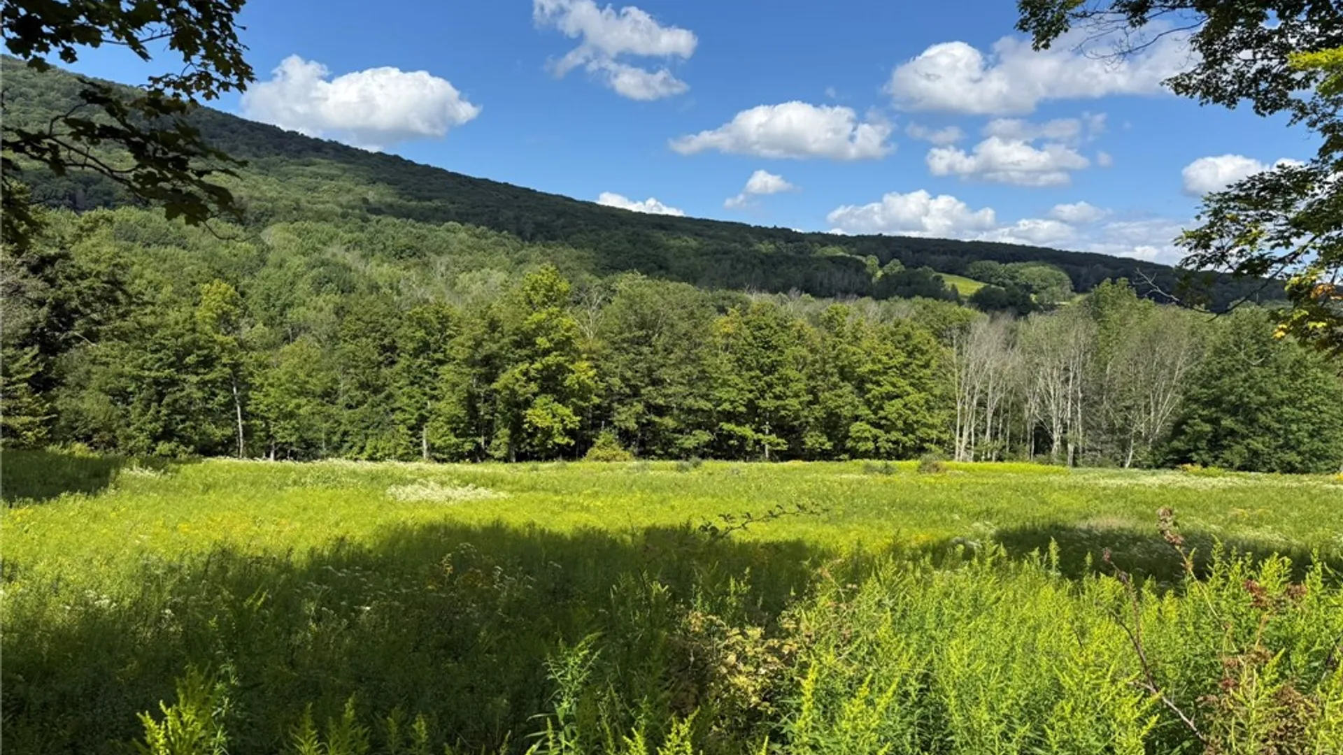 Property at 0 Lower Meeker Hollow Run, Roxbury, NY 12474 6