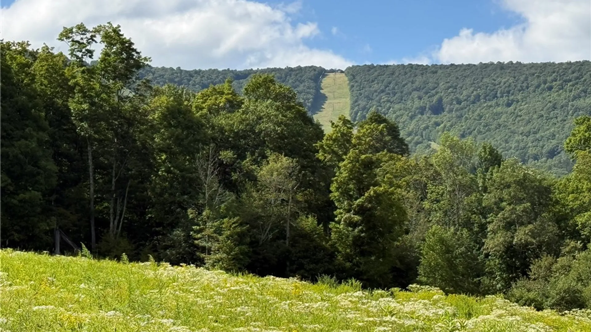 Property at 0 Lower Meeker Hollow Run, Roxbury, NY 12474 8