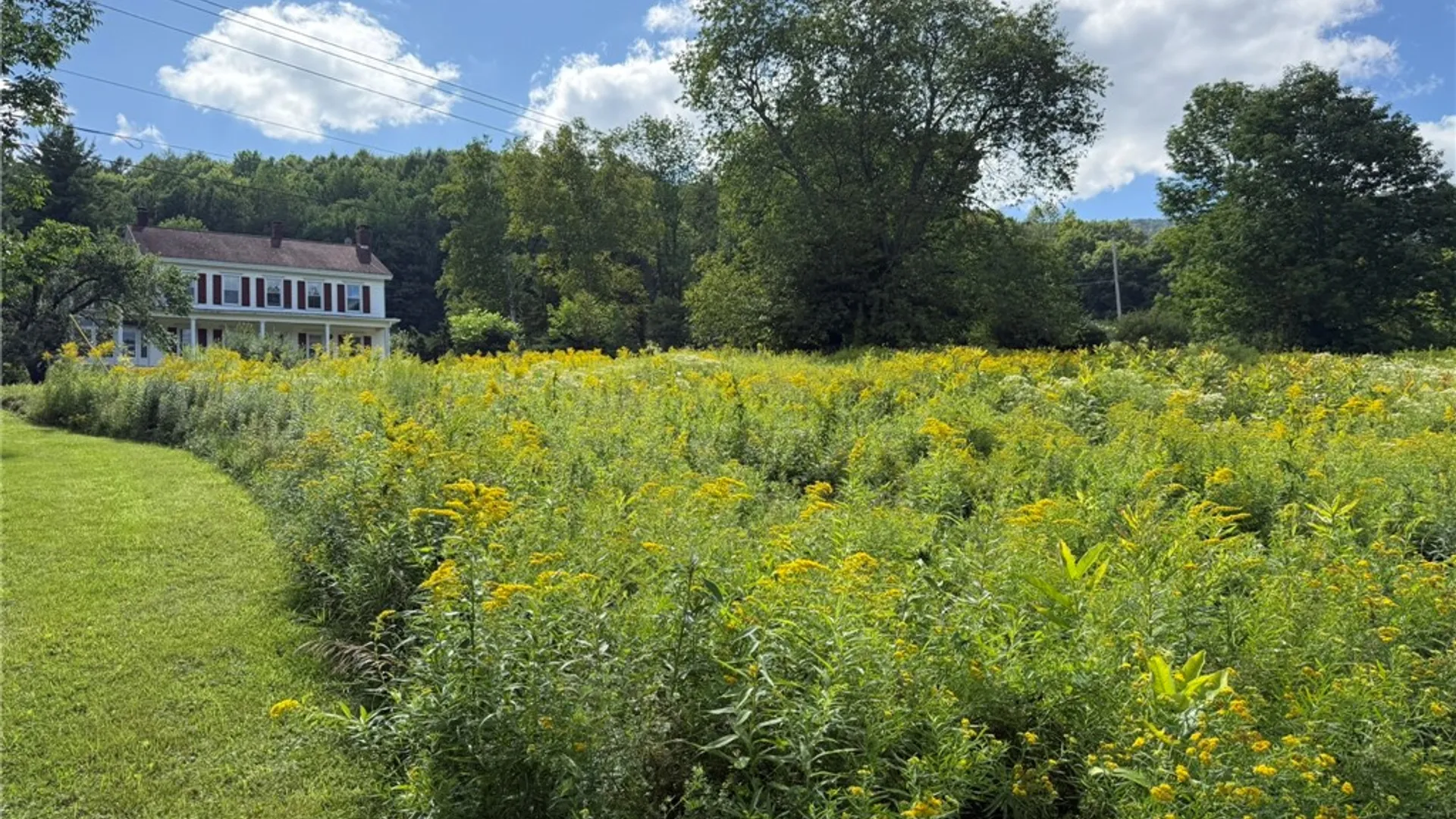 Property at 0 Lower Meeker Hollow Run, Roxbury, NY 12474 9