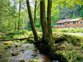 Property at 283 Pepacton Hollow Road, Neversink, NY 12740