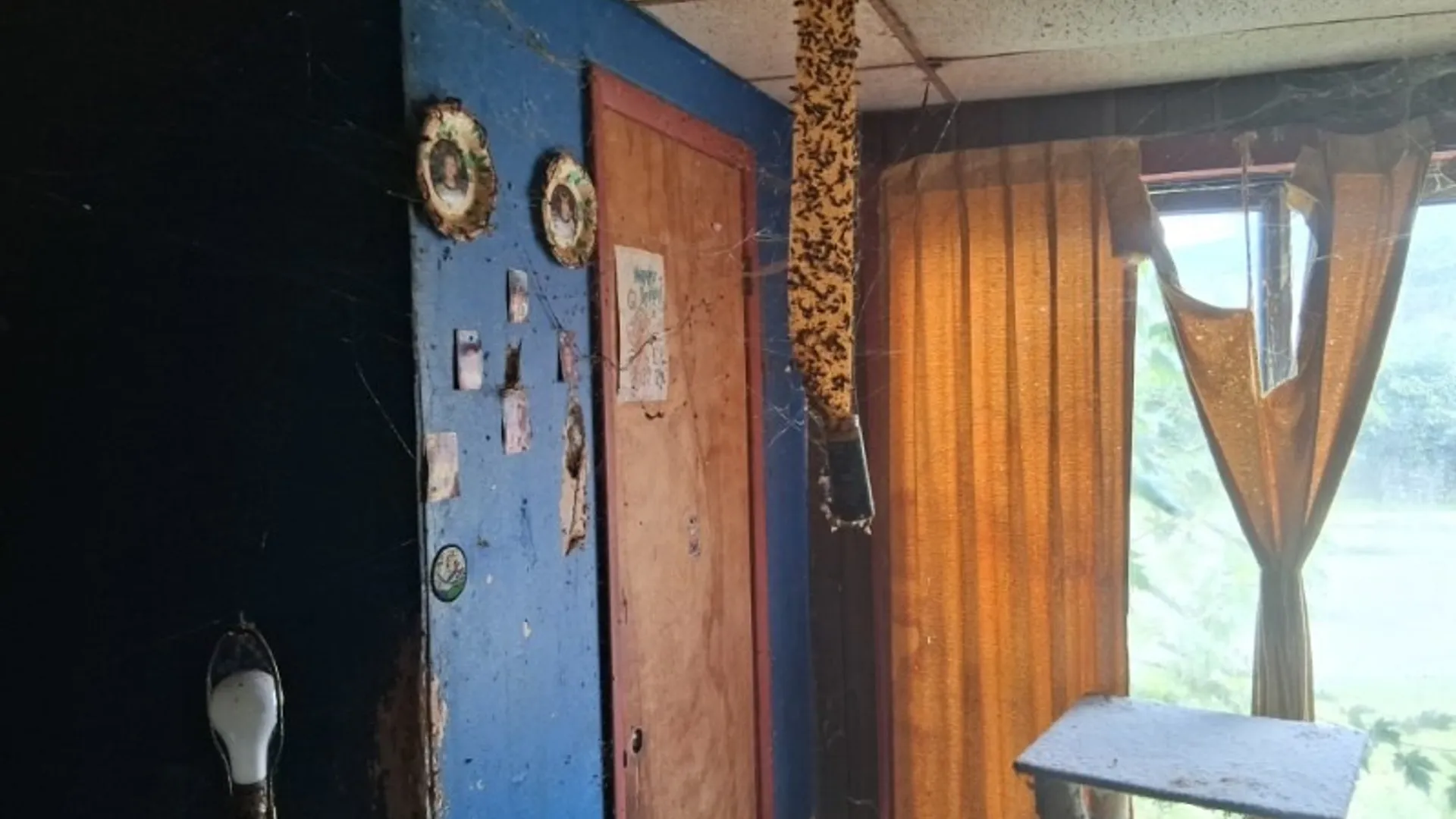 Property at 64 River Street, Salamanca, NY 14779 40