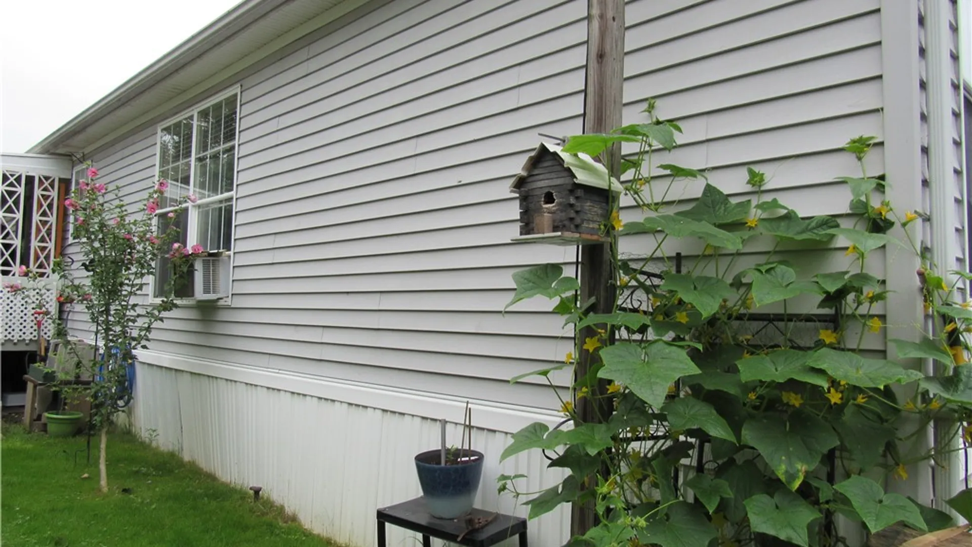 Property at 11 Sycamore, Avon, NY 14414 6