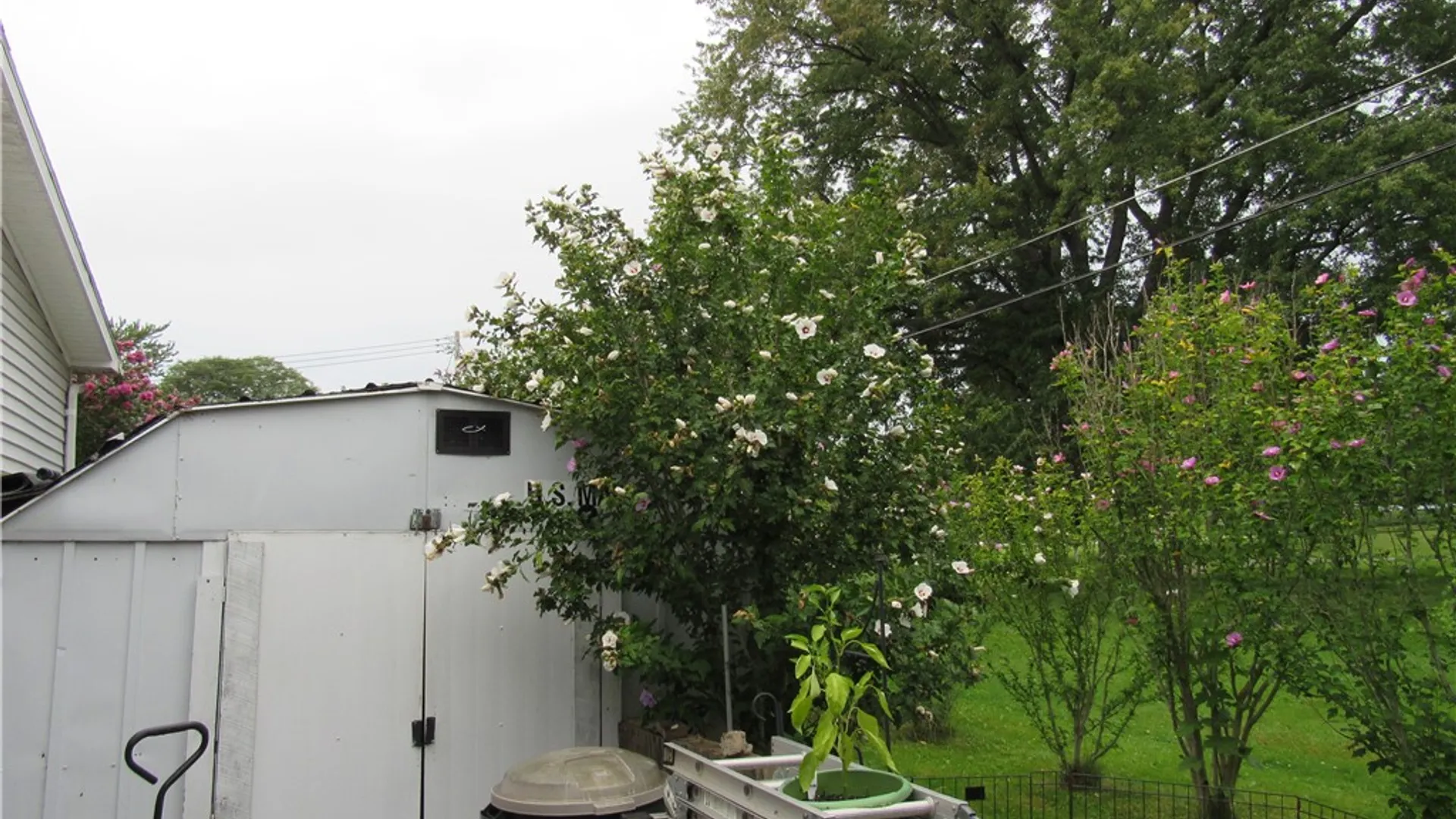 Property at 11 Sycamore, Avon, NY 14414 24