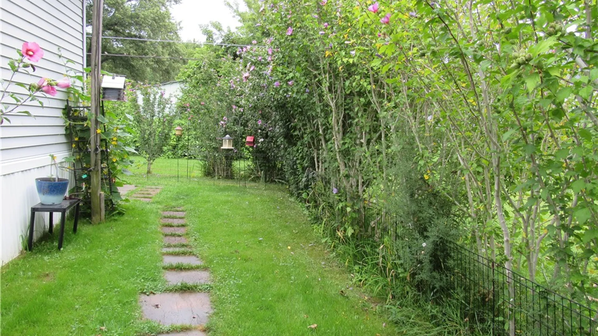 Property at 11 Sycamore, Avon, NY 14414 25