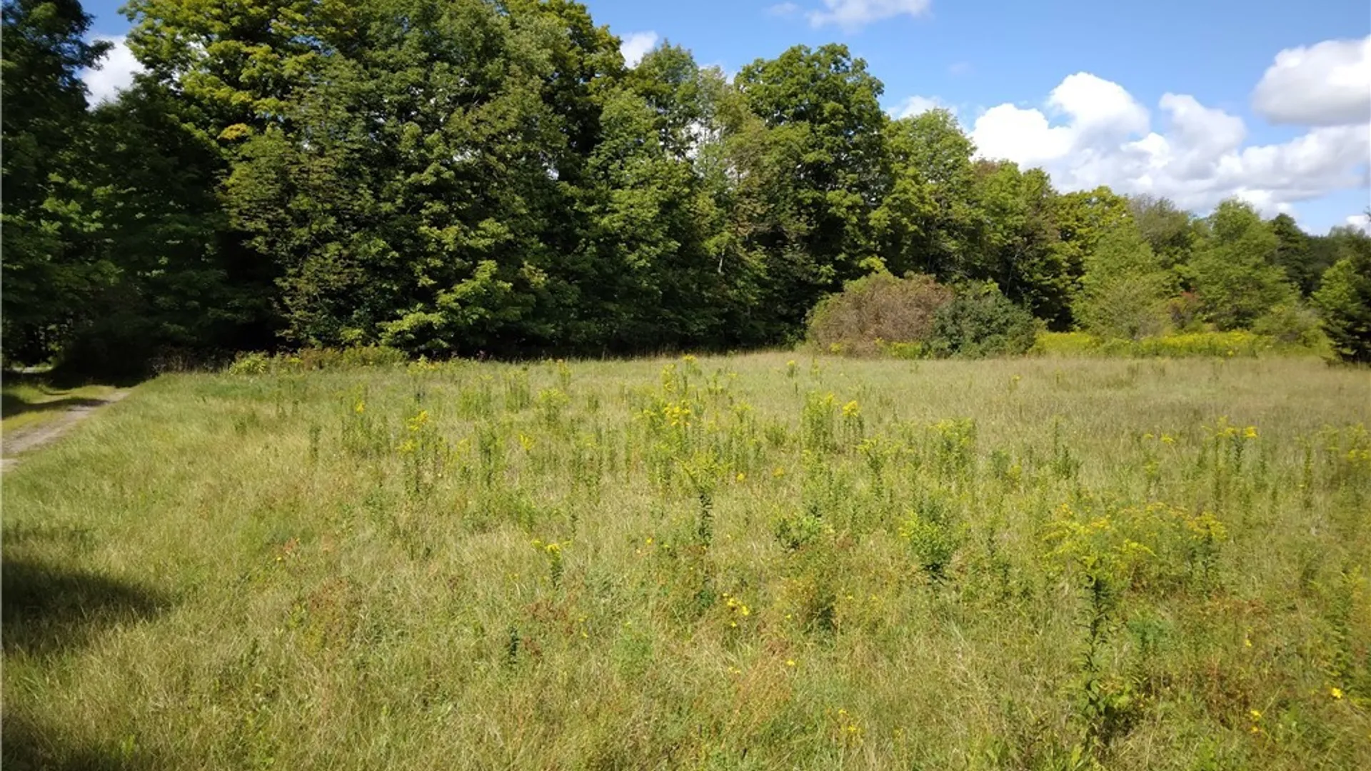 Property at 806 Dairy Hill Road, Salisbury, NY 13365 7