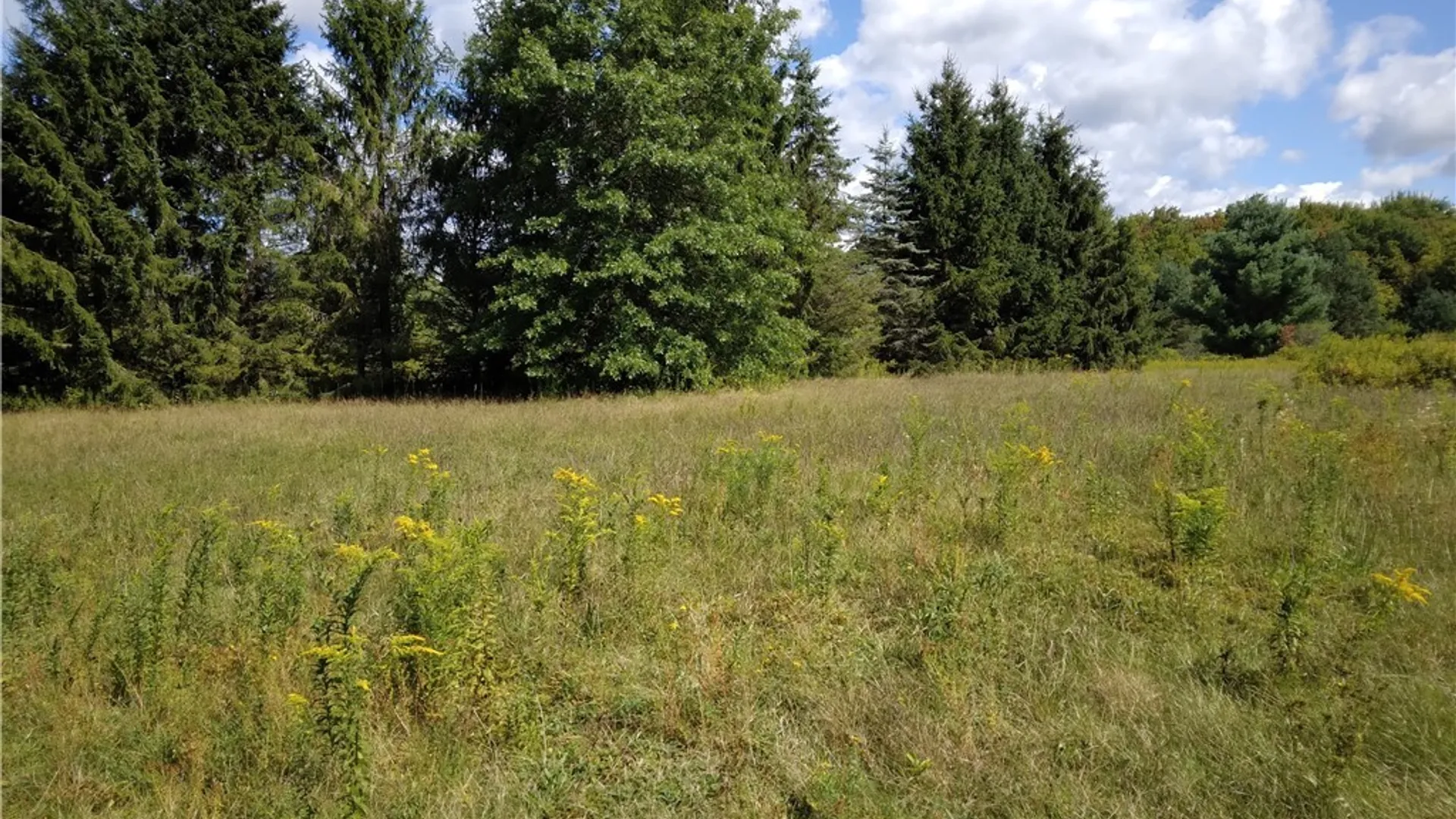 Property at 806 Dairy Hill Road, Salisbury, NY 13365 8