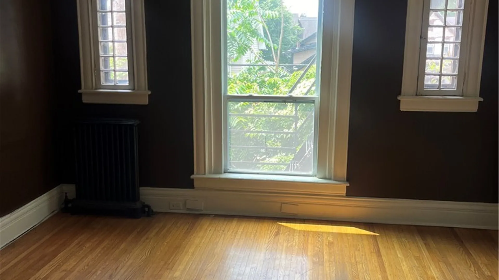 Property at 221 S Goodman Street, Rochester, NY 14607 12