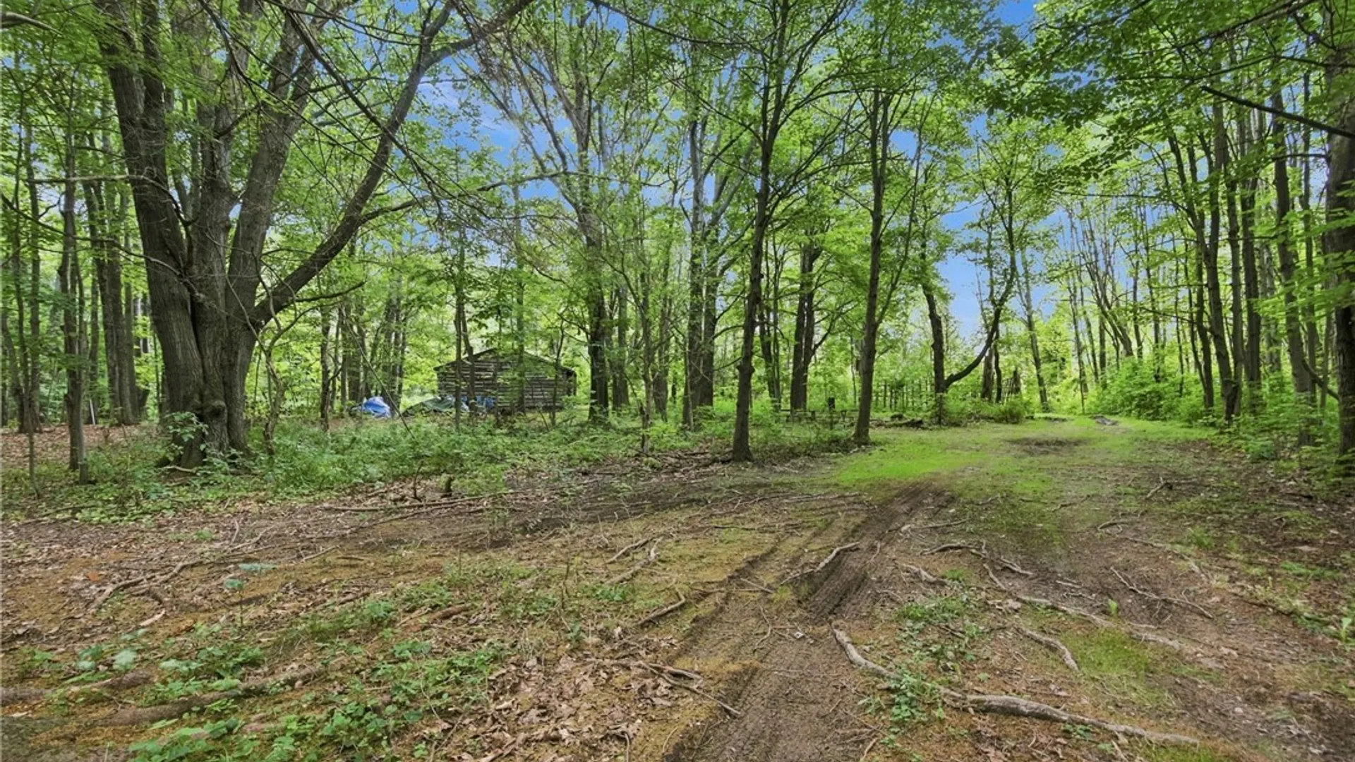 Property at 4050 Wood Hill Road, Italy, NY 14512 7