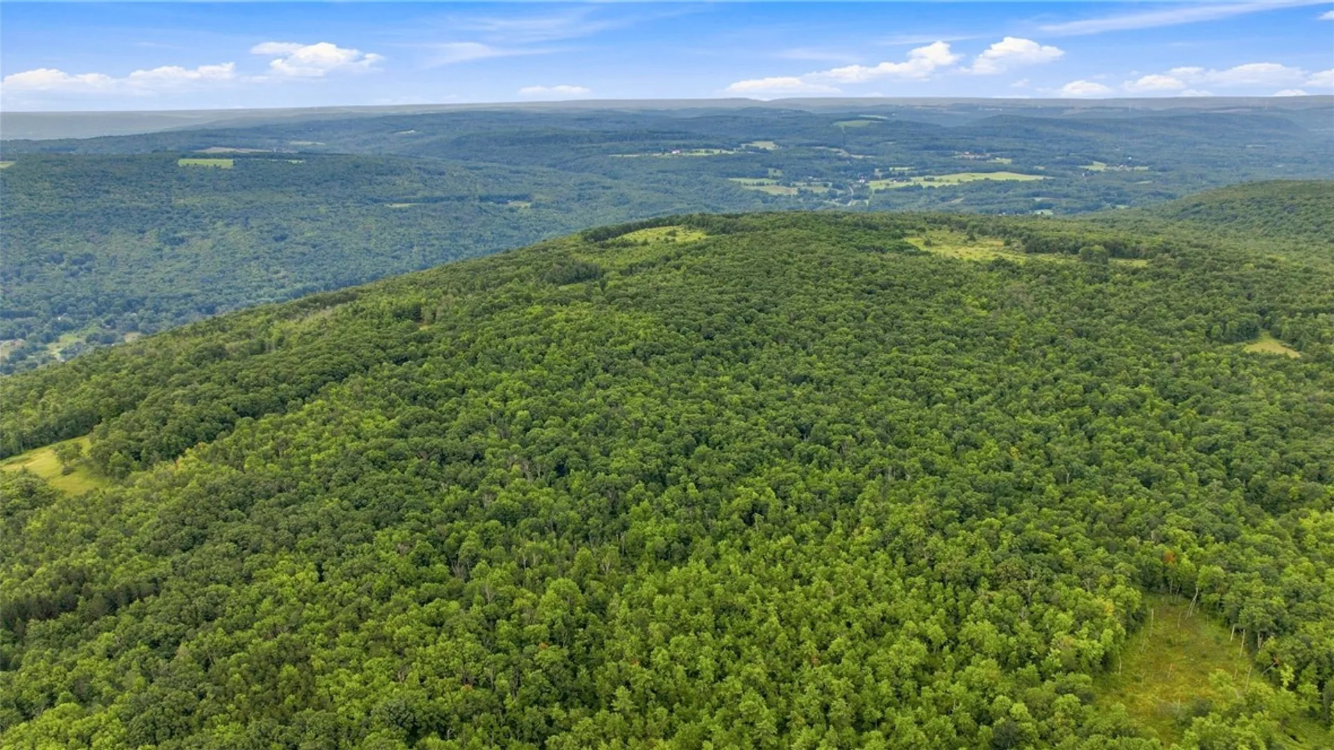 Property at 4050 Wood Hill Road, Italy, NY 14512 14