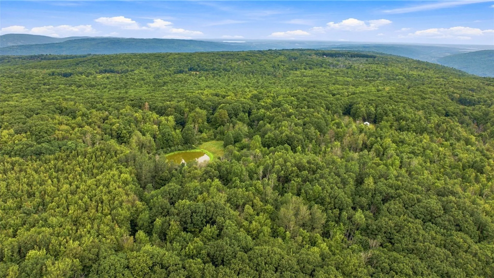 Property at 4049 Wood Hill Road, Italy, NY 14512 3