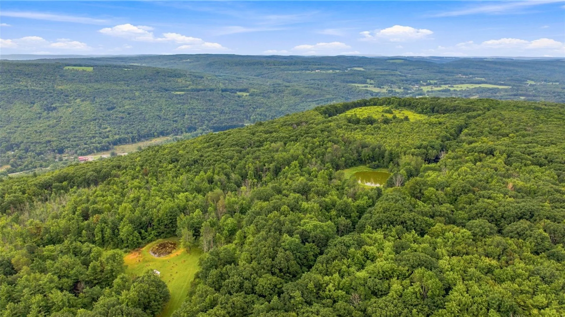 Property at 4049 Wood Hill Road, Italy, NY 14512 7