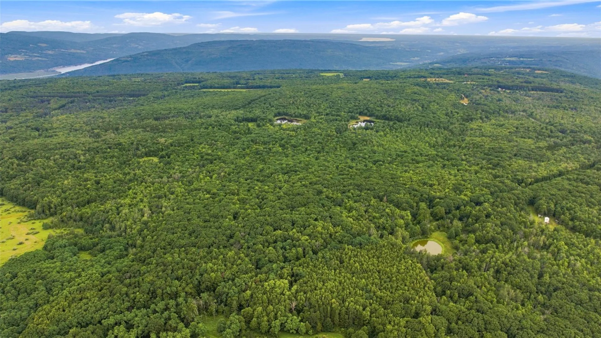 Property at 4049 Wood Hill Road, Italy, NY 14512 9