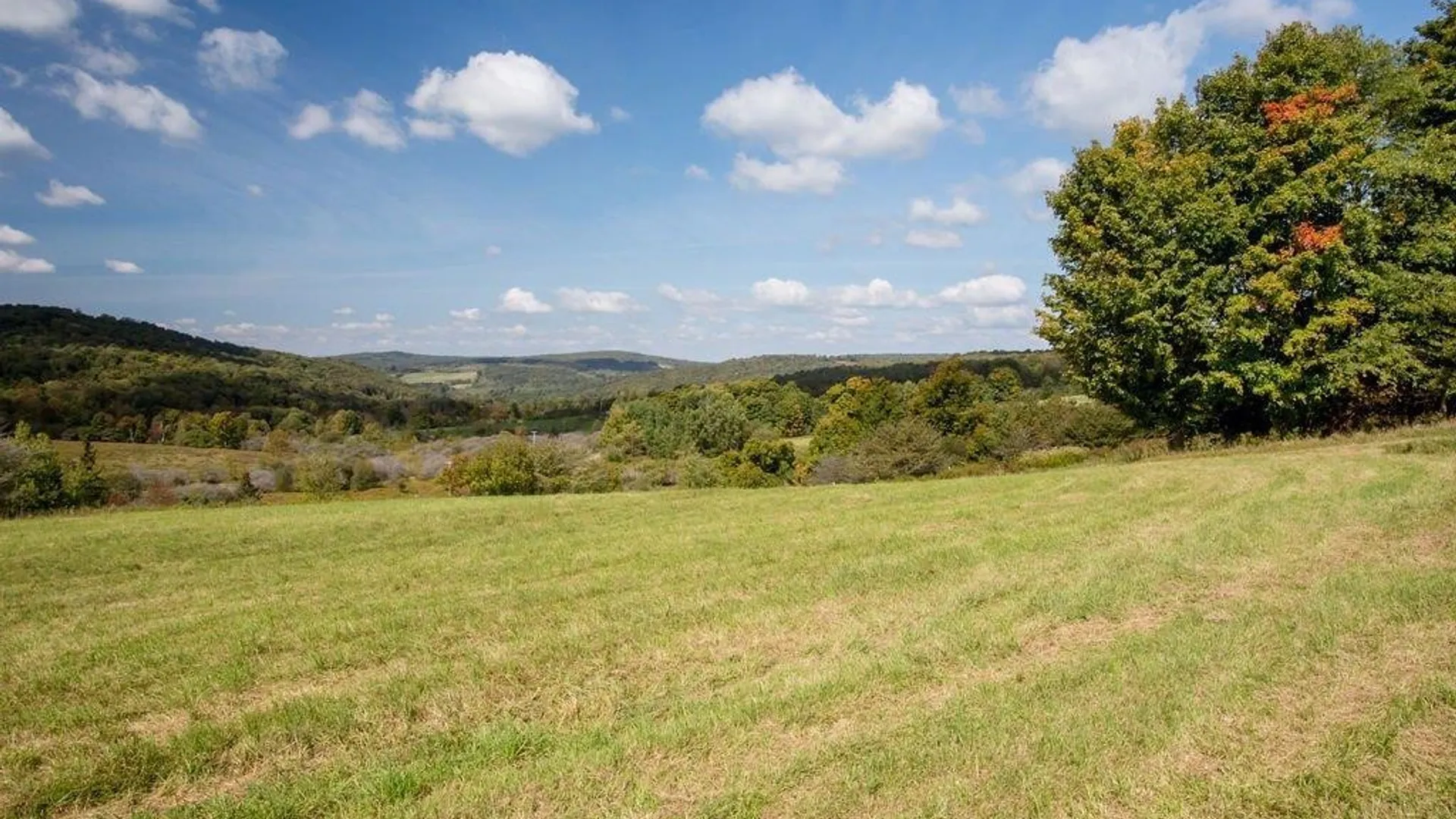Property at Lot 6 County Hwy 14, Meredith, NY 13753 7