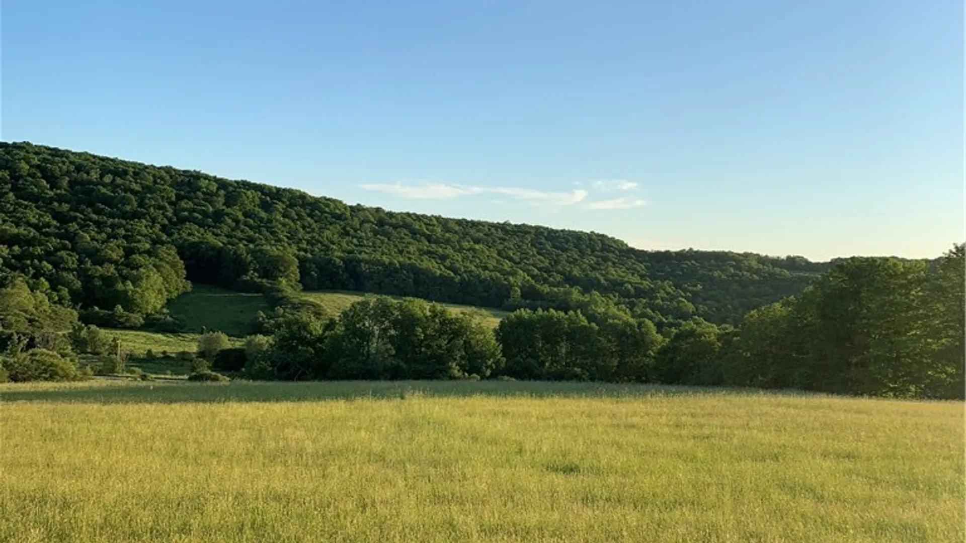 Property at Lot 6 County Hwy 14, Meredith, NY 13753 12