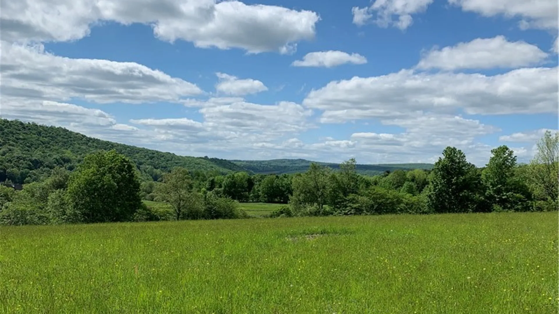 Property at Lot 6 County Hwy 14, Meredith, NY 13753 13