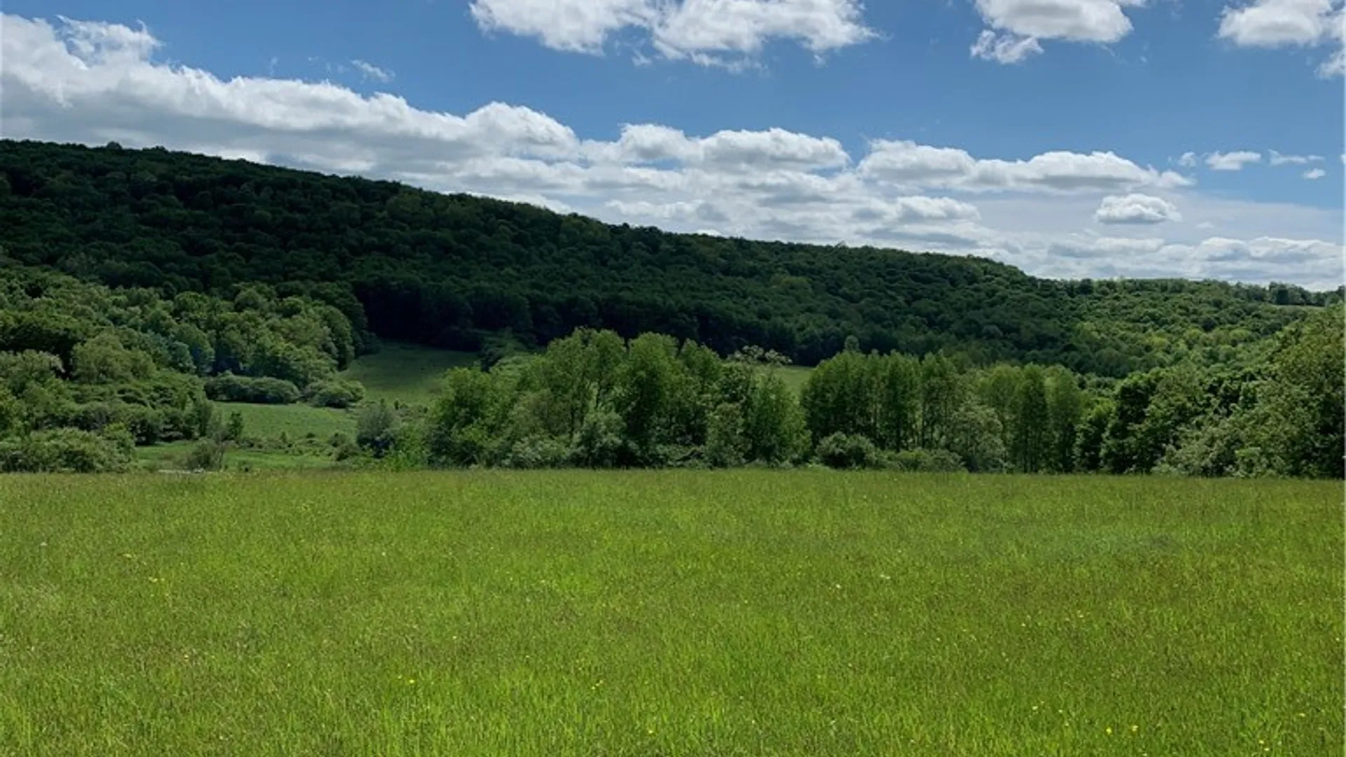Property at Lot 6 County Hwy 14, Meredith, NY 13753 14