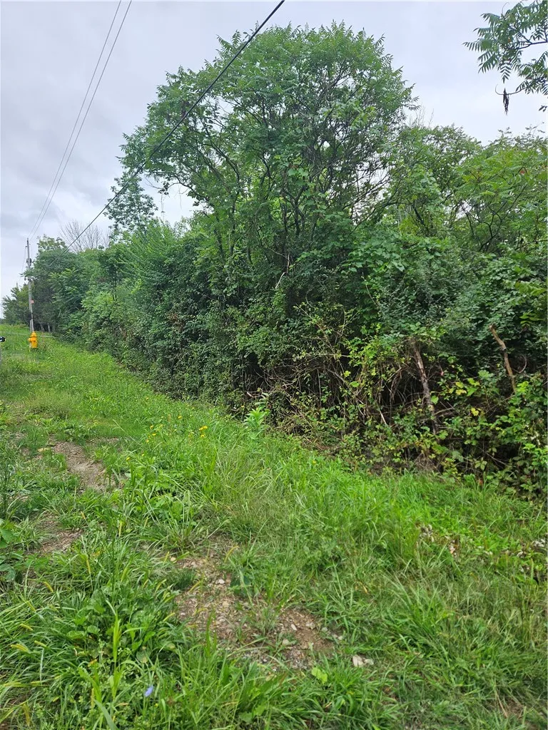 Property at Bailey Rd, Groveland, NY 14462