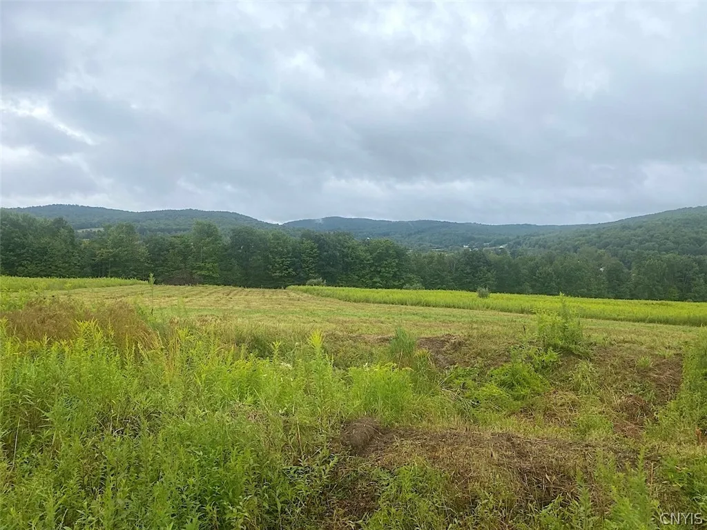 Property at Rt-275, Wirt, NY 14739