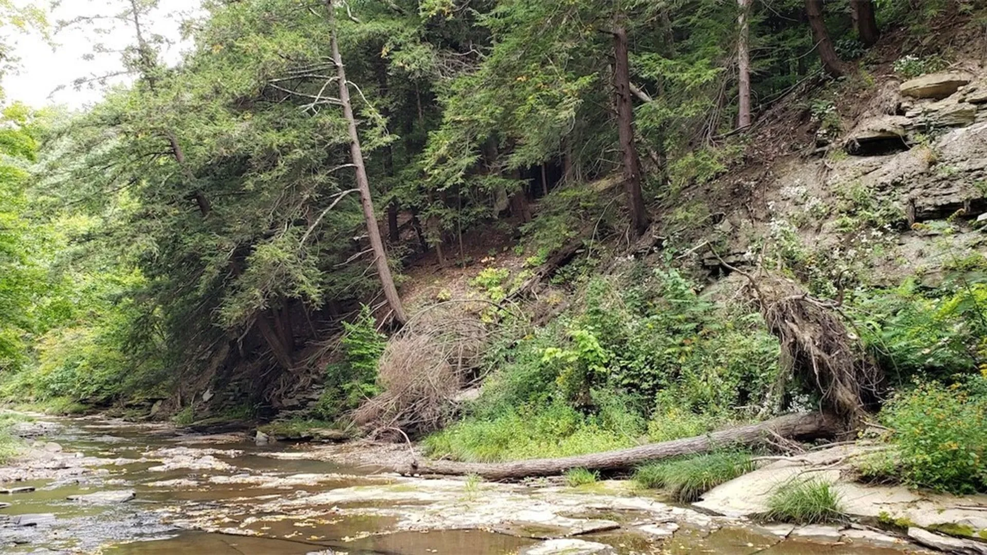 Property at Rt-275, Wirt, NY 14739 3
