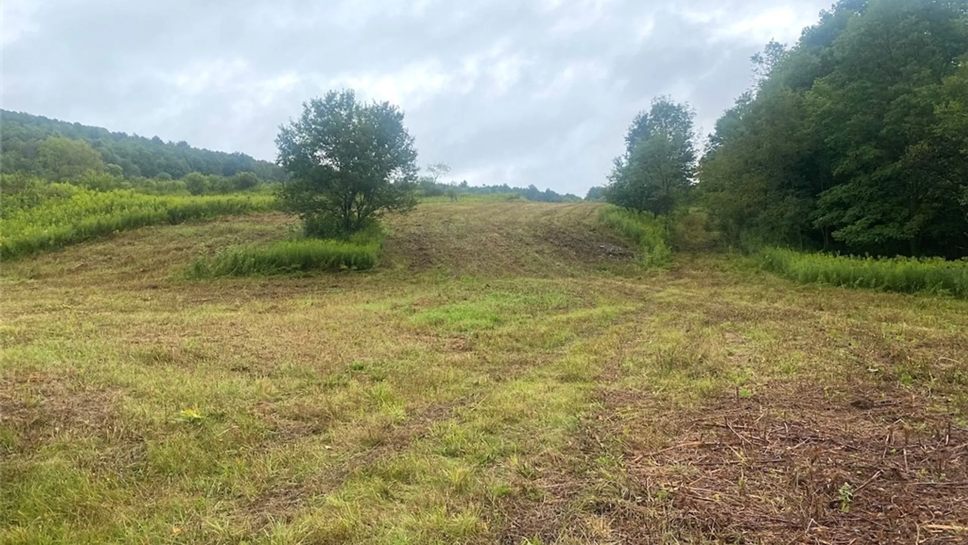 Property at Rt-275, Wirt, NY 14739 6
