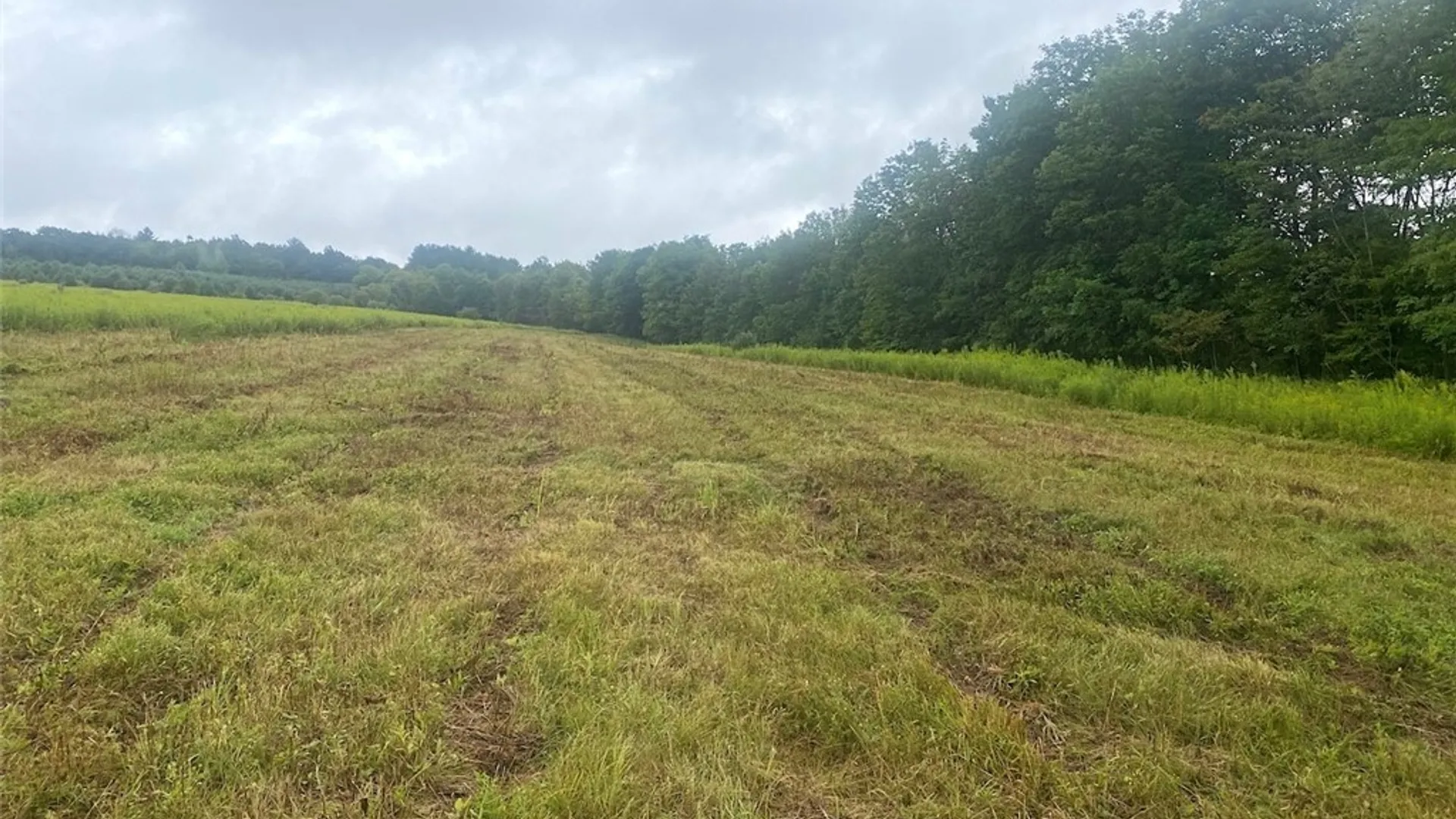 Property at Rt-275, Wirt, NY 14739 7
