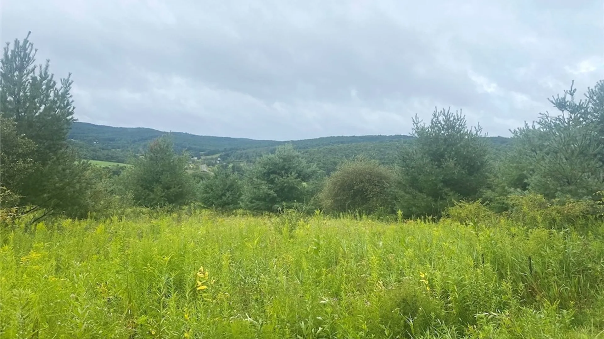 Property at Rt-275, Wirt, NY 14739 8
