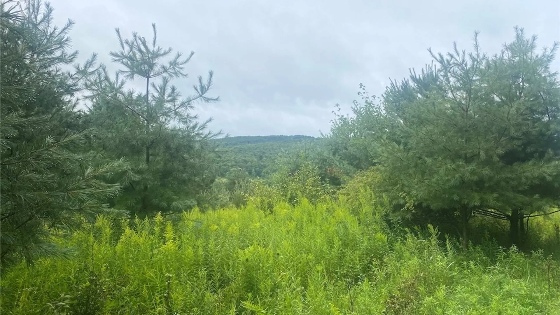 Property at Rt-275, Wirt, NY 14739 10