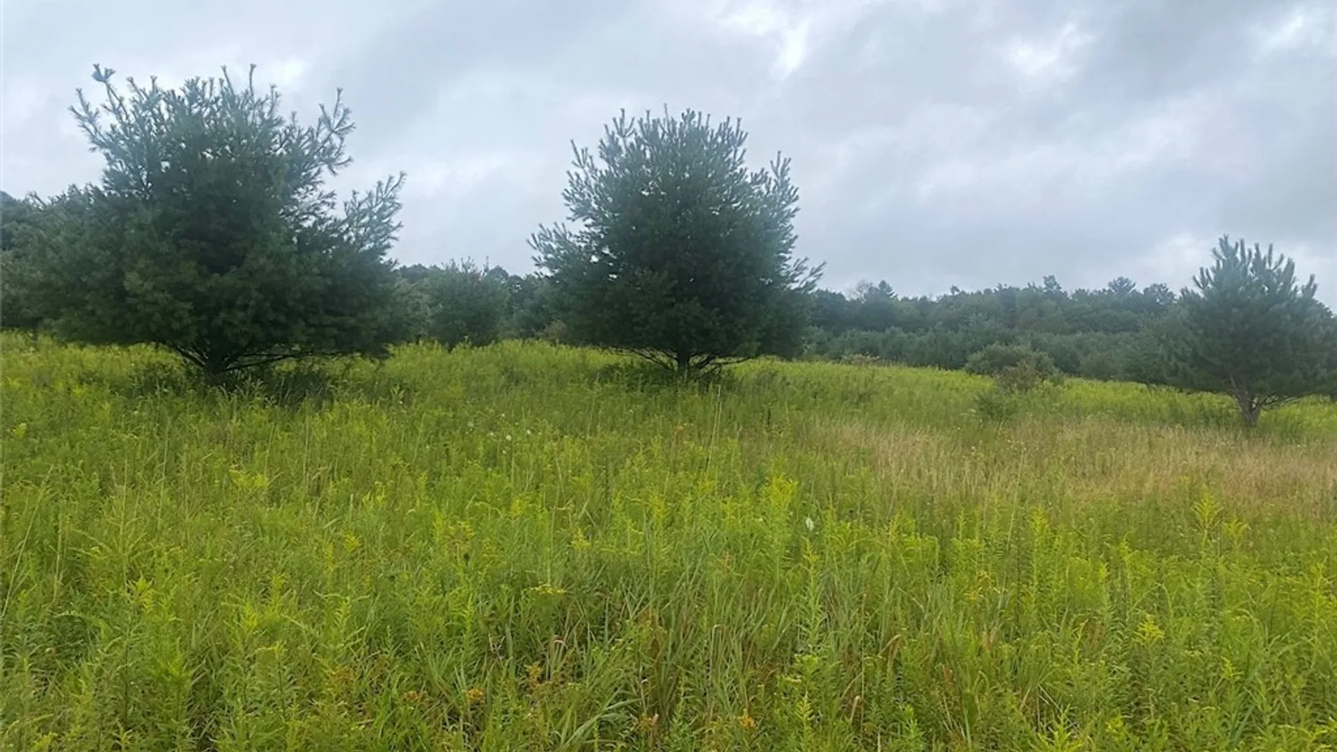 Property at Rt-275, Wirt, NY 14739 11