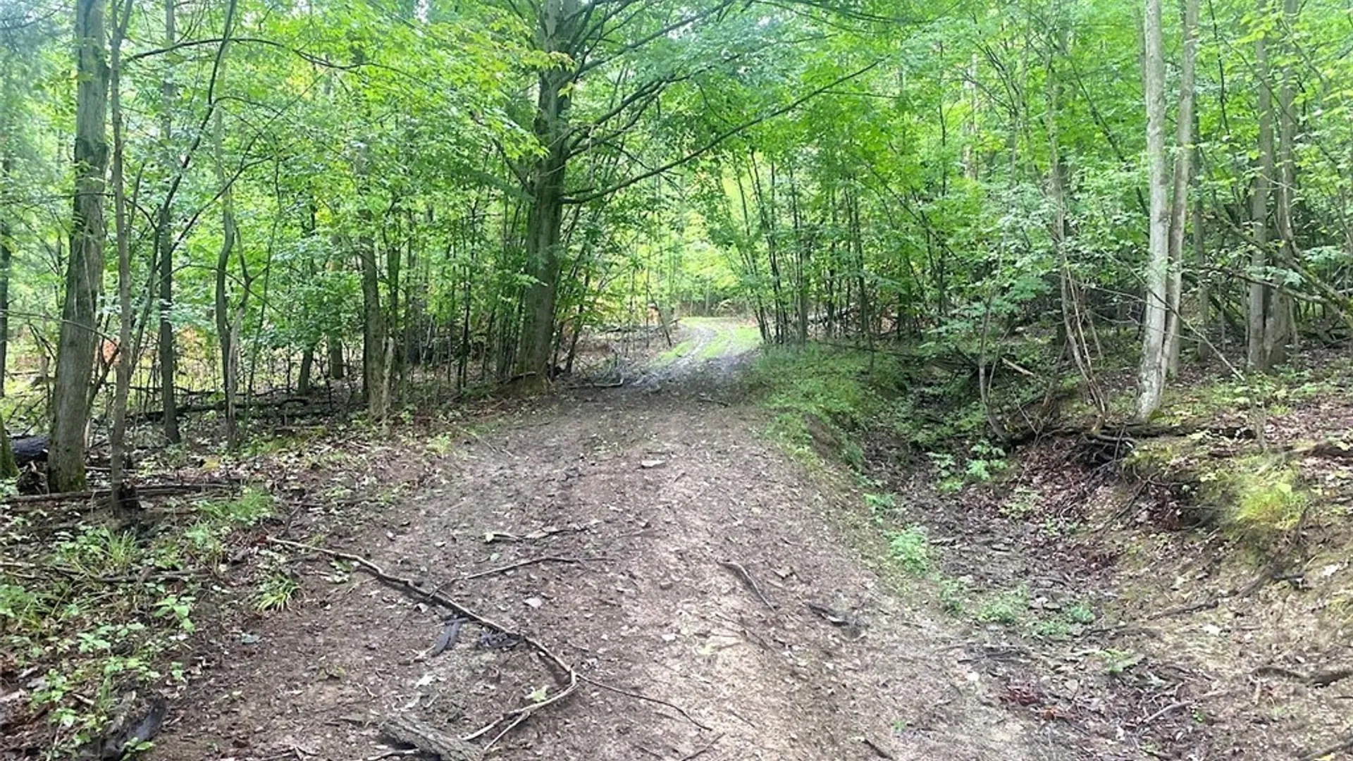 Property at Rt-275, Wirt, NY 14739 13