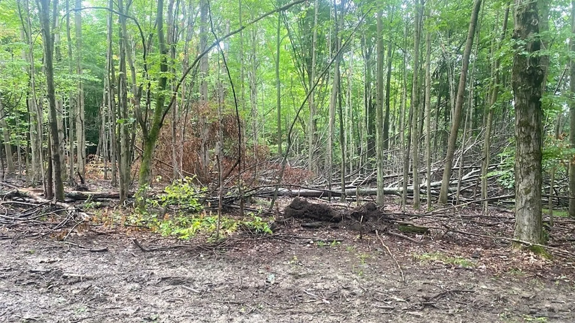 Property at Rt-275, Wirt, NY 14739 14