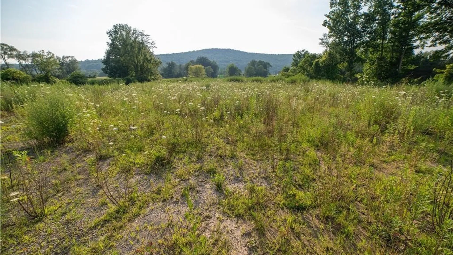Property at 769 County Highway 1, Unadilla, NY 13809 14