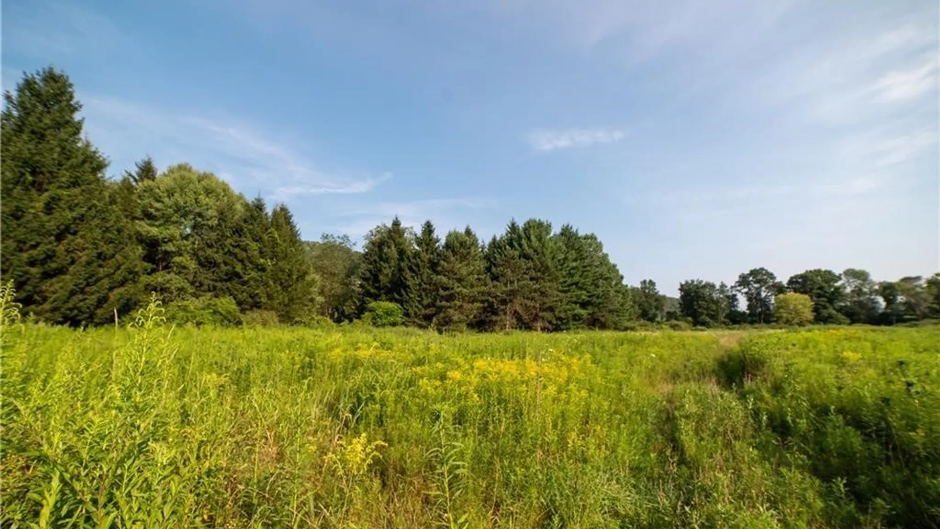 Property at 769 County Highway 1, Unadilla, NY 13809 19
