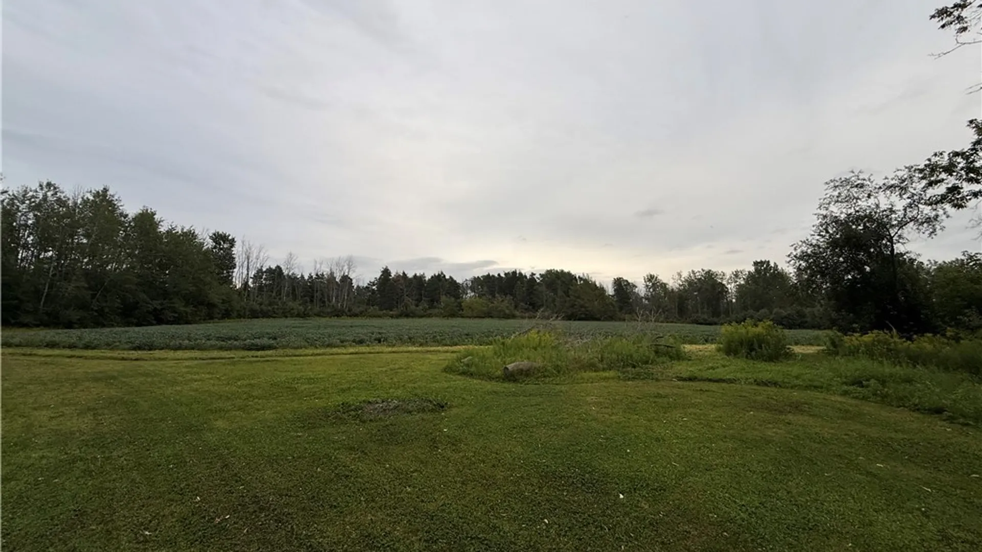 Property at 9187 Ellinwood Road, Pembroke, NY 14036 6
