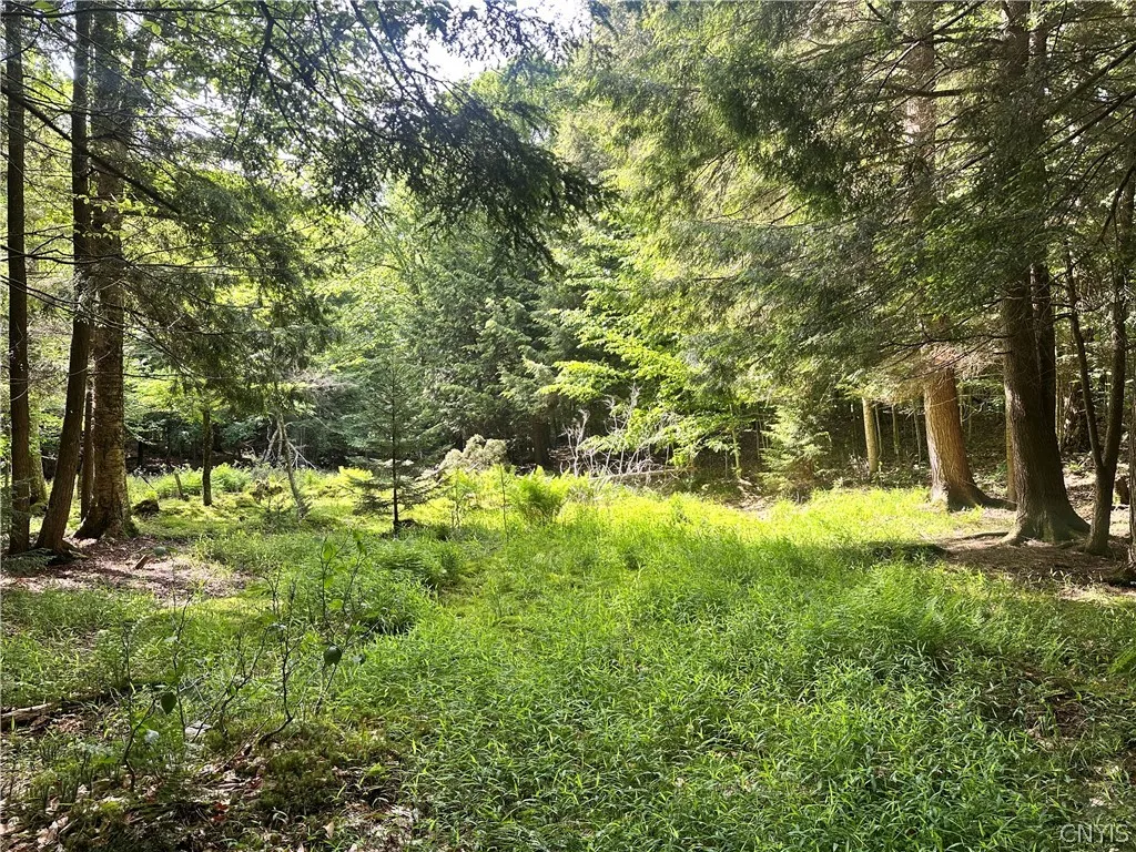 Property at 41 S Shore Road, Inlet, NY 13360